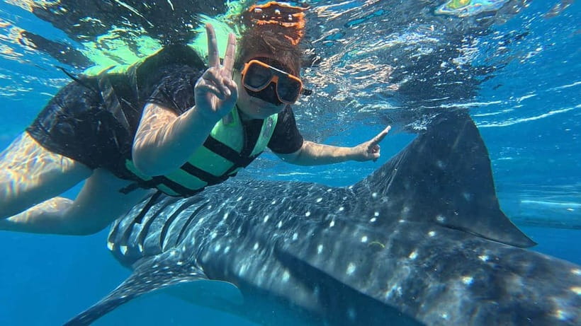 Oslob: Whale Shark Watching Private tour - Health, Age, and Comfort Limits
