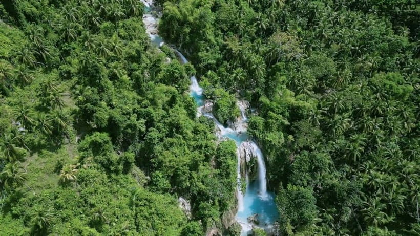 Oslob: Whale Sharks, Inambakan Falls & Moalboal Sardines - Key points to know before booking