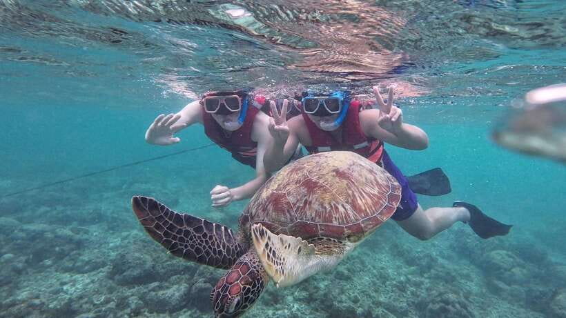 Oslob: Whale Sharks, Inambakan Falls & Moalboal Sardines - The driver and guide support matter