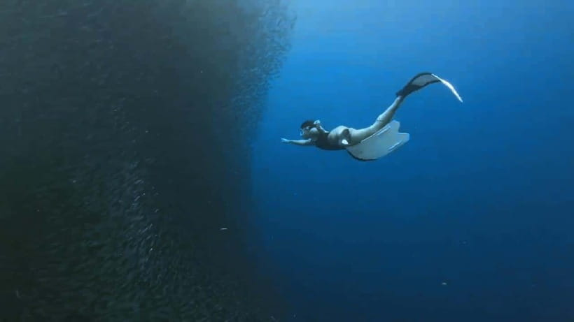 Oslob: Whale Sharks, Inambakan Falls & Moalboal Sardines - Should you book it?
