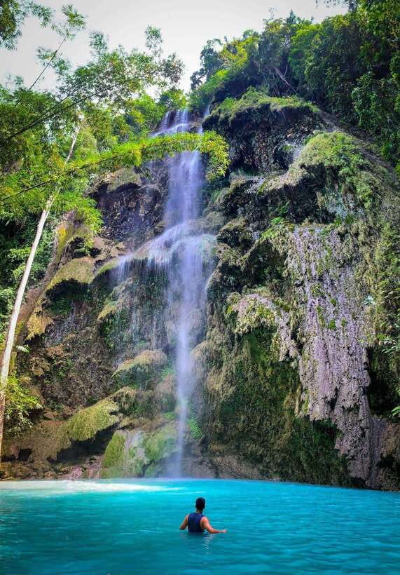 Oslob: Whale Sharks, Tumalog Falls, & Monkey Sanctuary Tour - Why the small group matters on a three-hour drive