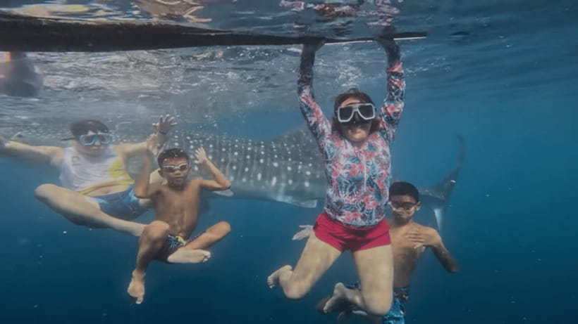 Oslob: Whale Sharks, Tumalog Falls & Sumilon Trio Adventure - Key points to know before booking