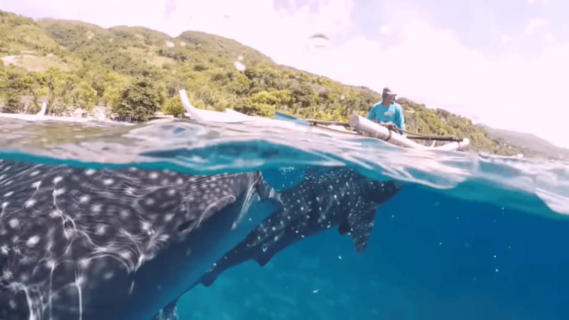 Oslob: Whale Sharks, Tumalog Falls & Sumilon Trio Adventure - Boat ride and island time at Sumilon