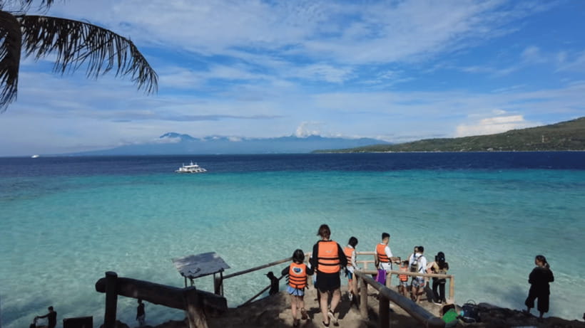 Oslob: Whale Sharks, Tumalog Falls & Sumilon Trio Adventure - Is $103 a fair price?