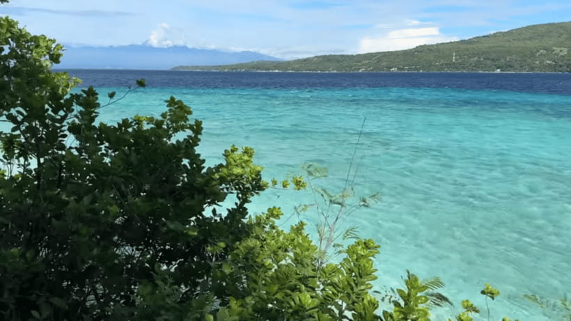 Oslob: Whale Sharks, Tumalog Falls & Sumilon Trio Adventure - Who will enjoy this most?