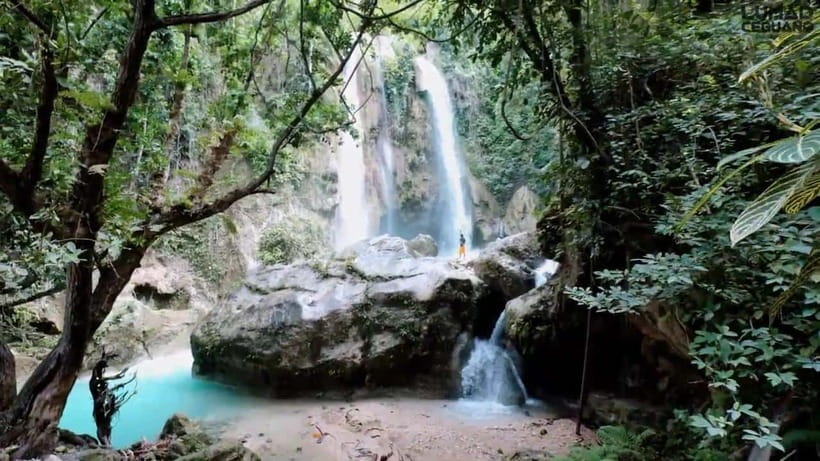 Oslob: Whaleshark Swimming, Inambakan Falls & Moalboal Tour - What to bring for a wet, early day