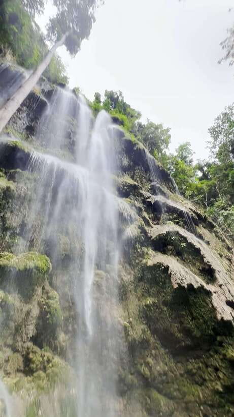 Oslob: Whaleshark Swimming, Tumalog Falls & Sumilon Island - FAQ