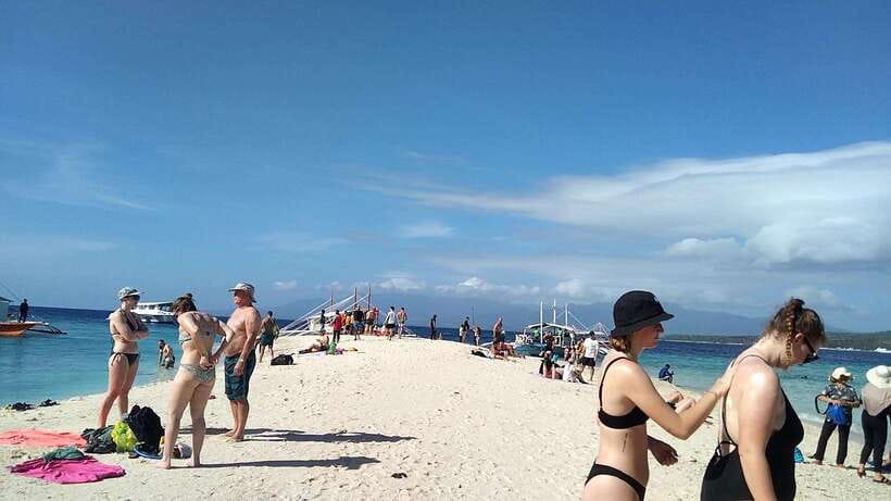 Oslob: Whaleshark Swimming, Tumalog Falls & Sumilon Island - Who Will Enjoy This Oslob Day Trip
