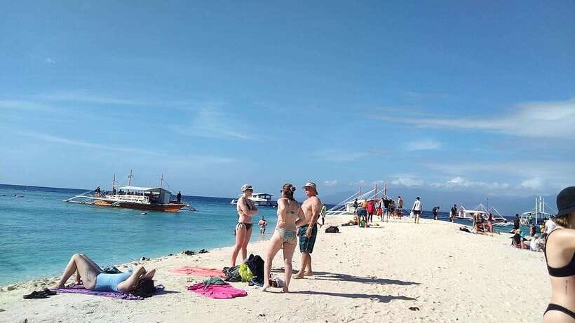 Oslob: Whaleshark Swimming, Tumalog Falls & Sumilon Island - Booking Details That Matter