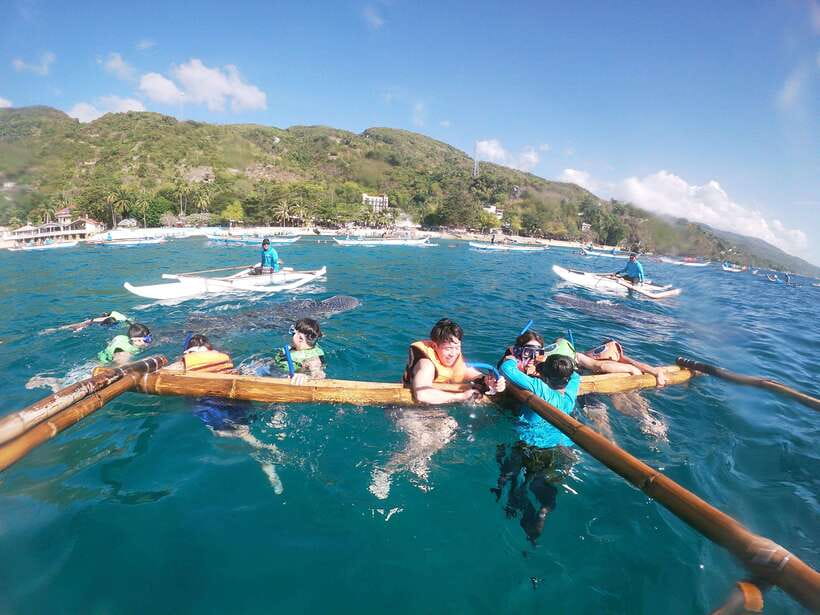 Oslob: Whaleshark Swimming, Tumalog Falls & Sumilon Island - Should You Book It?