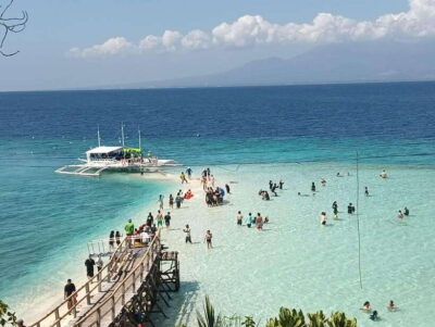 Oslob: Whaleshark Watching, Sumilon Island & Monkey Viewing - Whale shark watching at Oslob