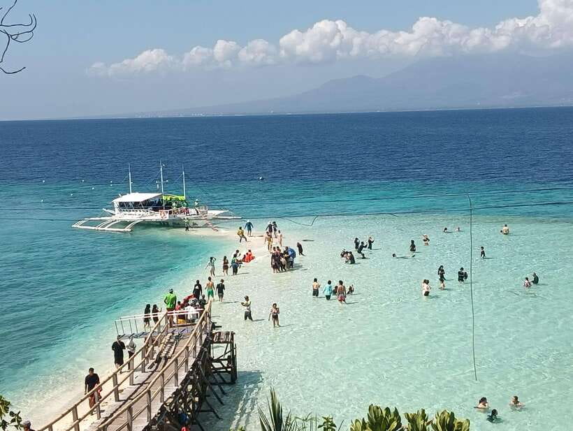 Oslob: Whaleshark Watching, Sumilon Island & Monkey Viewing - Whale shark watching at Oslob