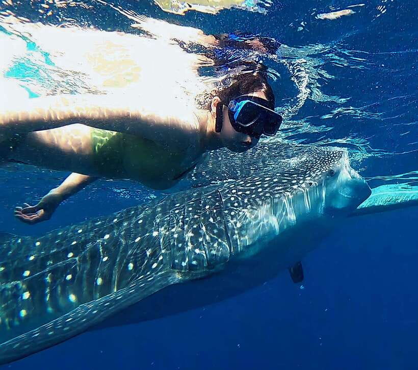 Oslob: Whaleshark Watching, Tumalog Falls & Sumilon Island - Key points to know before booking