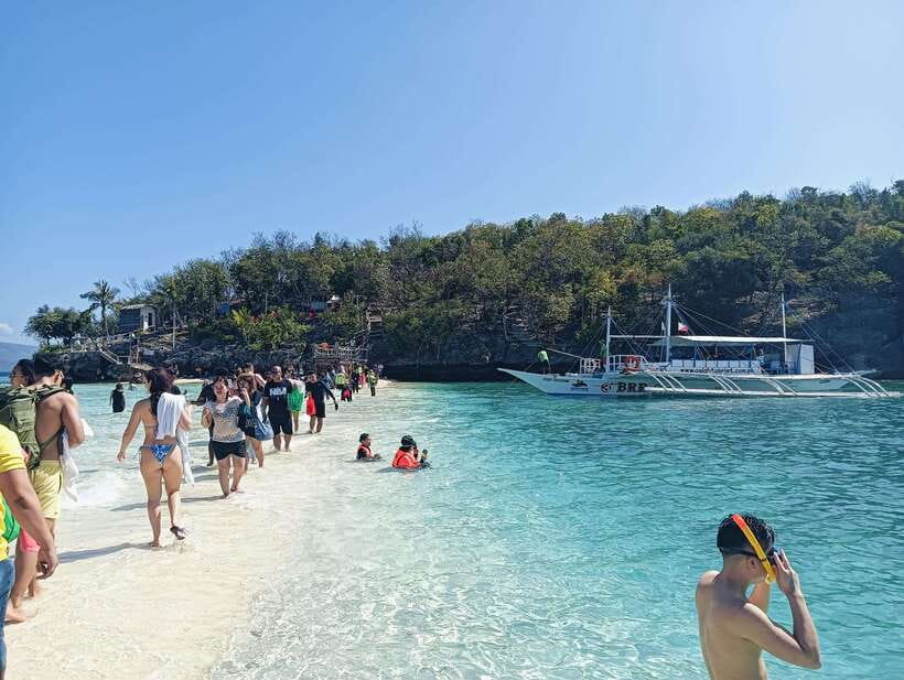 Oslob: Whaleshark Watching, Tumalog Falls & Sumilon Island - Meeting the whale sharks in Oslob