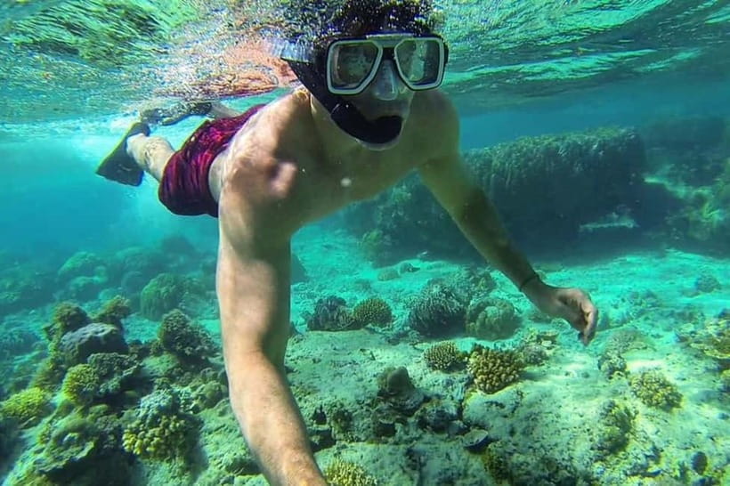 Palawan: 5-Day Puerto Princesa & El Nido Package Tour - Who should book this trip?