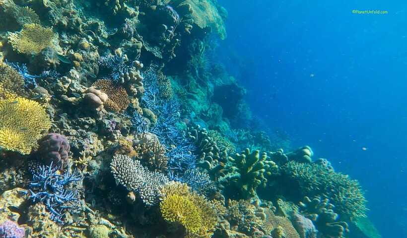 Palawan: Coron Island Super Ultimate Private Tour - Sunset Beach and Coron Youth Club Beach