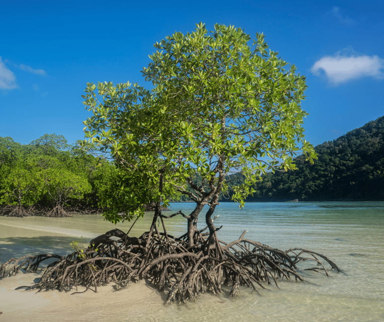 PALAWAN: El Nido Fishing Tour with Local Fishermen PRIVATE - Why this fishing trip feels different from standard El Nido tours