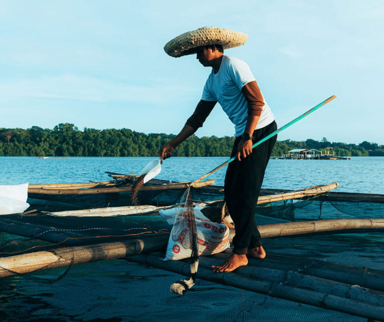 PALAWAN: El Nido Fishing Tour with Local Fishermen PRIVATE - What the $225 price really buys you