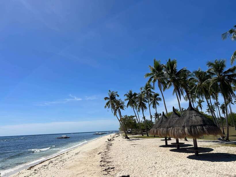 Pamilacan island: Dolphins, snorkel, lunch and walking tour - Why Pamilacan makes a worthwhile day trip