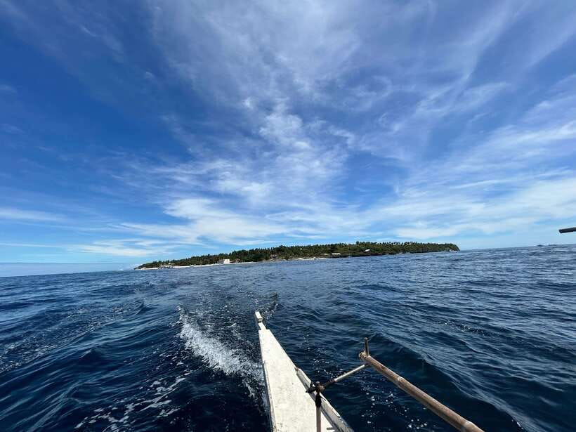 Pamilacan island: Dolphins, snorkel, lunch and walking tour - Dolphin watching around Pamilacan