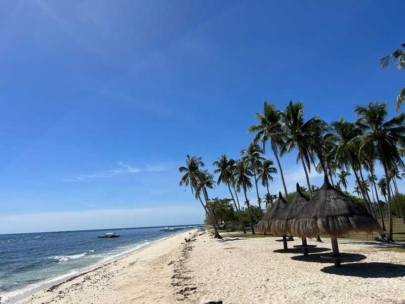 Pamilacan island: Dolphins, snorkel, lunch and walking tour - A local lunch beside the water