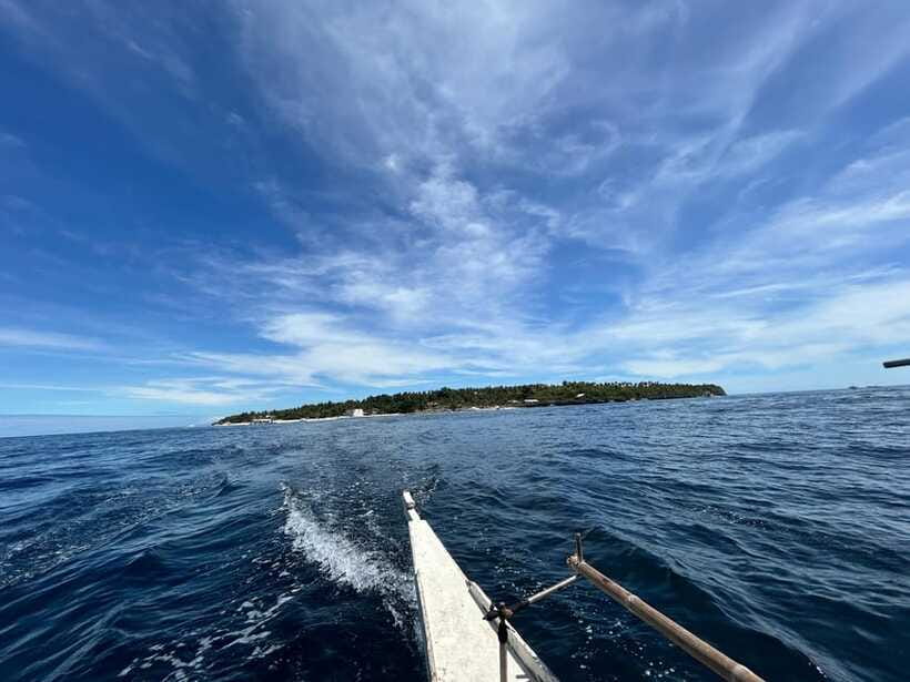Pamilacan island: Dolphins, snorkel, lunch and walking tour - What the $139 price really covers