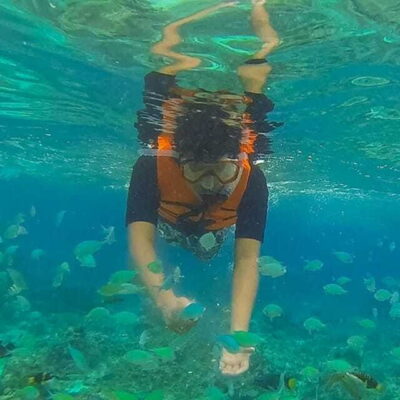 Panglao:Balicasag Island Tour with Turtle & Dolphin Watching - The early run for dolphins near Panglao