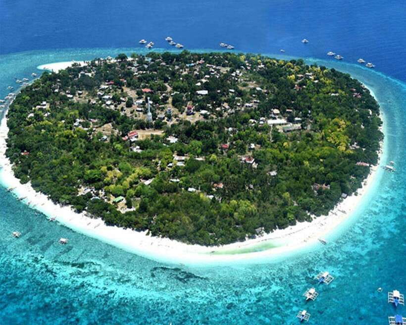 Panglao Bohol: Balicasag Island Hopping & Dolphin Watching - Panglao start, private boat, and a six-hour pace