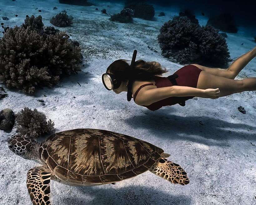 Panglao Bohol: Balicasag Island Hopping & Dolphin Watching - Balicasag Island’s coral reefs and sea turtles