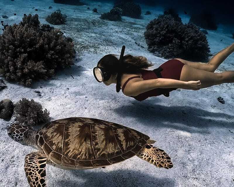 Panglao Bohol: Balicasag Island Hopping & Dolphin Watching - Virgin Island and the sandbar photo stop
