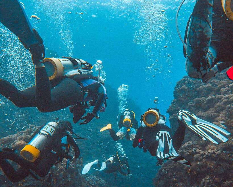 Panglao Bohol: Try Scuba Diving at Napaling and Sardines - Why Napaling Reef makes this Panglao outing special
