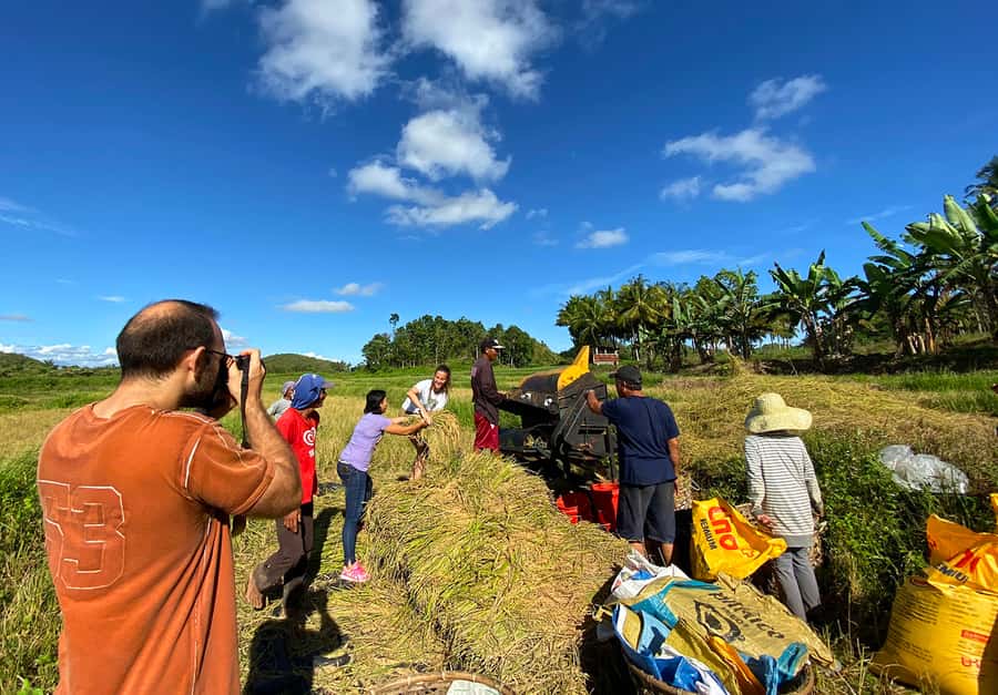 Panglao: Dao, Forests, and Tarsier Sanctuary Tour with Lunch - A full Bohol day from Panglao to the hills