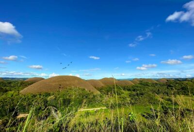 Panglao: Dao, Forests, and Tarsier Sanctuary Tour with Lunch - Starting with market life in Tagbilaran