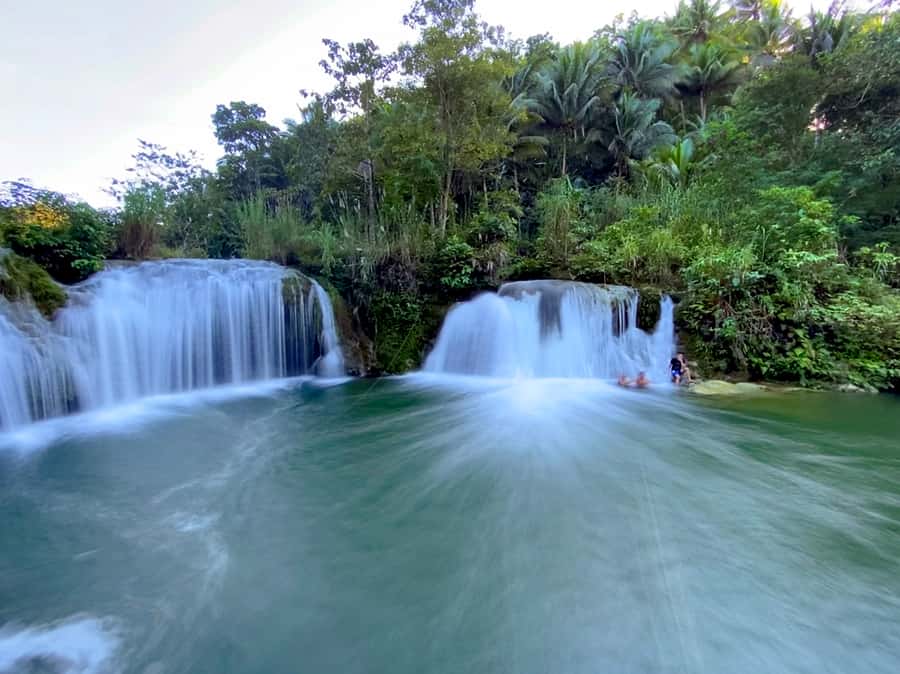 Panglao: Dao, Forests, and Tarsier Sanctuary Tour with Lunch - What the private transport adds