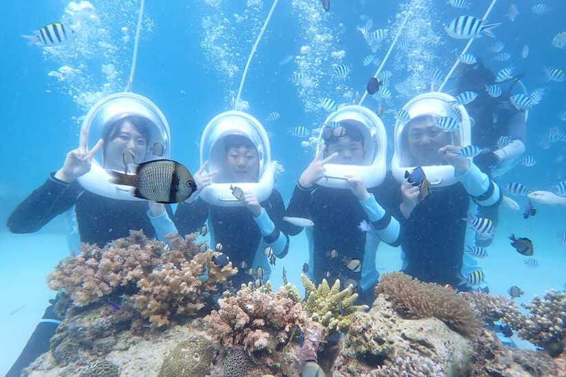 Panglao: Helmet Diving Experience with Photos and Videos - What the Panglao Helmet Experience Actually Involves