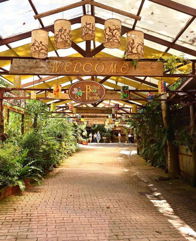 Panglao Island Escape: Cave Swim, White Sand Beach & More - Lunch with sea views at Bohol Bee Farm