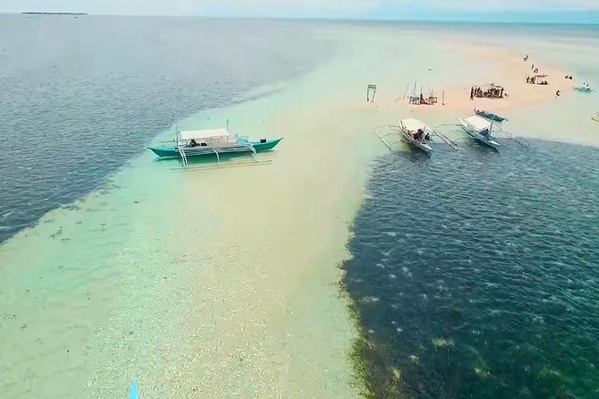 Panglao Island Hopping - Pungtud Island and the famous Virgin Island sandbar