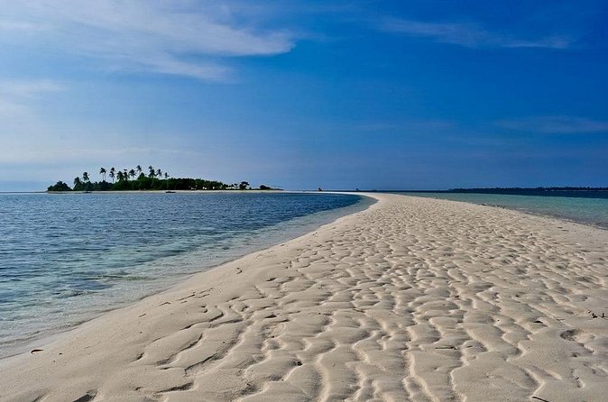 Panglao Island Hopping - Punta Cruz Fish Sanctuary for snorkeling and turtle watching