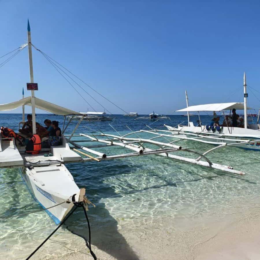 Panglao: Island Hopping w/Balicasag (Shared) - Key points to know before booking