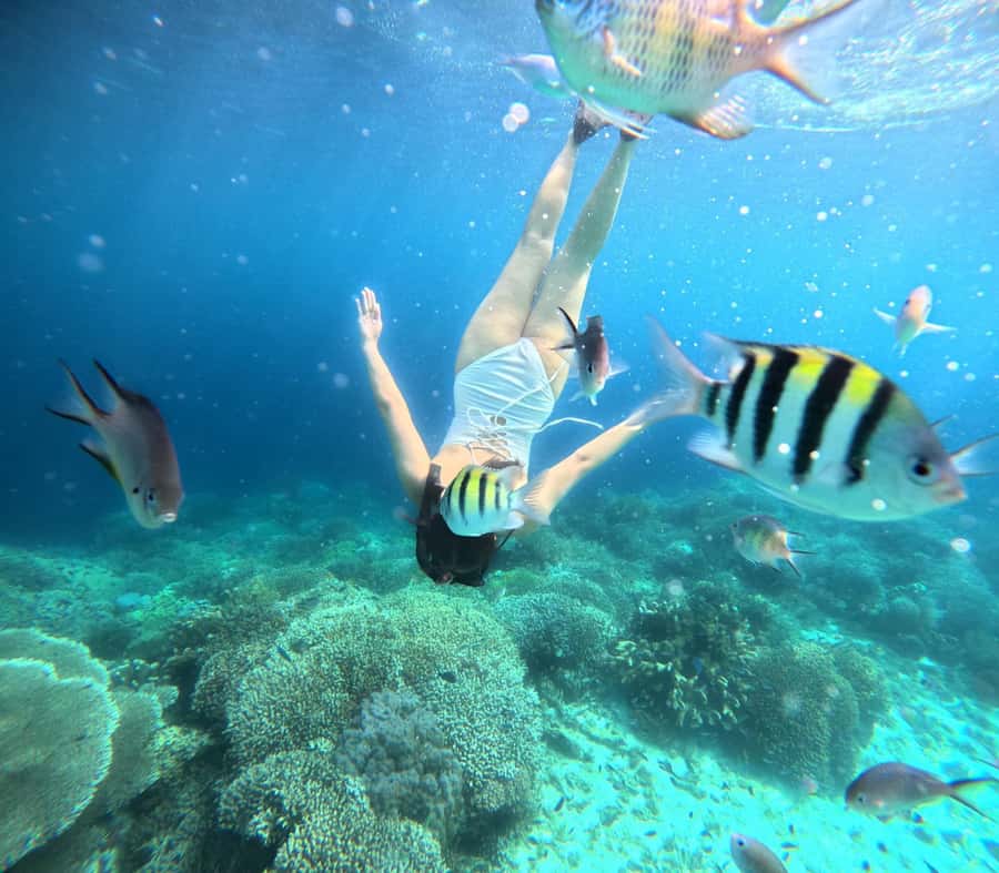 Panglao: Island Hopping w/Balicasag (Shared) - Why the 6:00 AM start matters