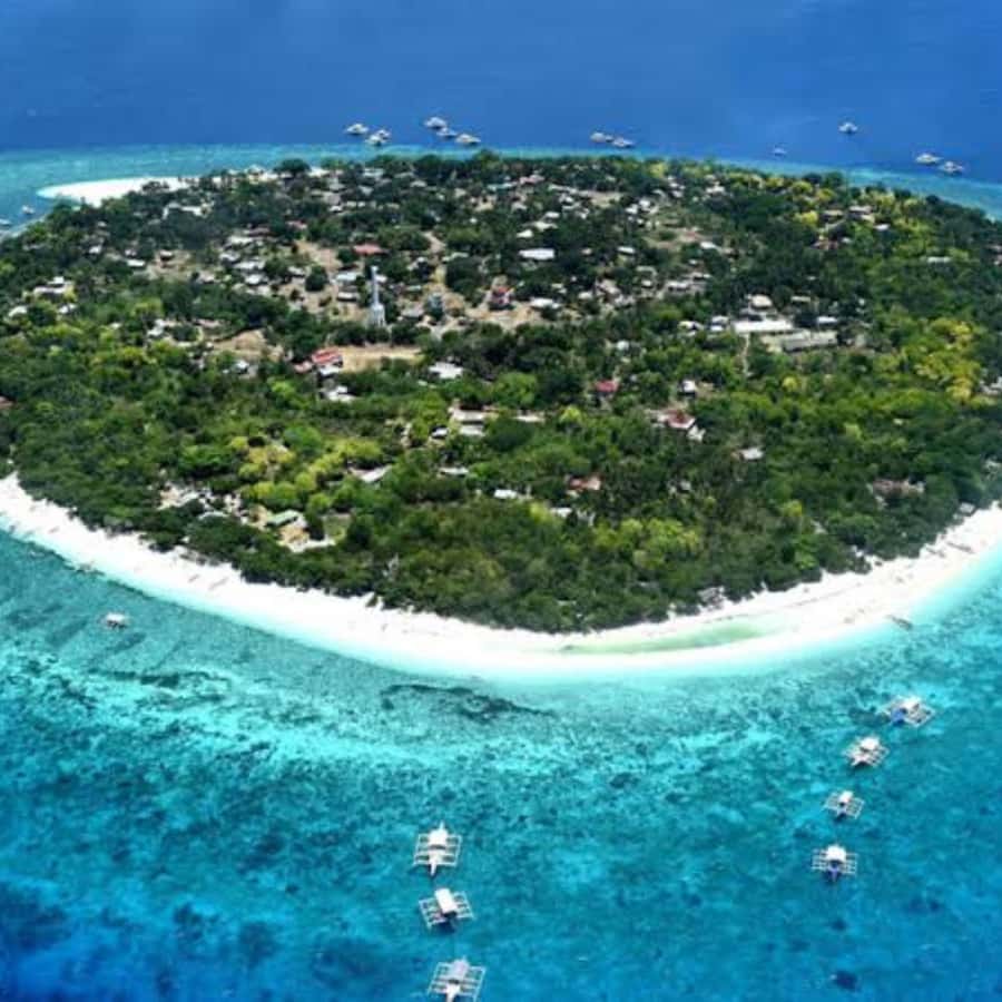 Panglao: Island Hopping w/Balicasag (Shared) - Balicasag Island and the main snorkeling stop