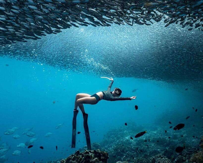 Panglao: Napaling Reef and Sardines Freediving Experience - Key points to know before you book