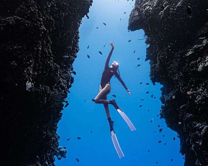 Panglao: Napaling Reef and Sardines Freediving Experience - Meeting at Freedive Academy Panglao