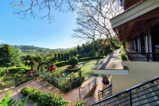 Panoramic Tour of Cebu - Sirao Pictoral Garden and the Mini Amsterdam setting