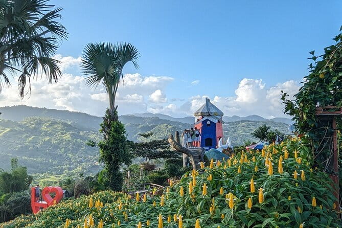 Panoramic View of Cebu and Dinner with Night View - Group size, pickup, and the real value of $97