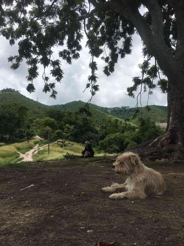 Personal Guide to Starbuk's Banawa, Cebu City - A friendly way to approach Banawa’s hills