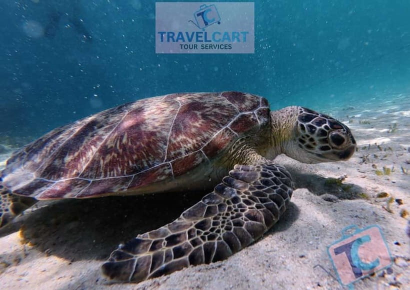PORT BARTON: Full-day Shared Island Hopping Tour A - Maxima and Exotic Islands: sand, palms, and open time