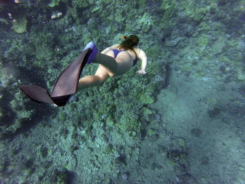 Port Barton: Island Hopping to Turtle Spot & Reef with Lunch - First water stops: coral, fish, and a gentle start