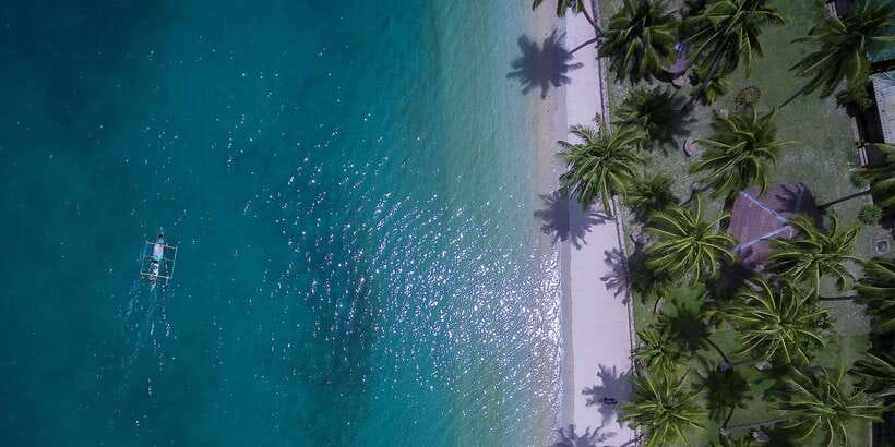 Port Barton: Island Hopping to Turtle Spot & Reef with Lunch - Turtle Spot: wonderful when the animals cooperate