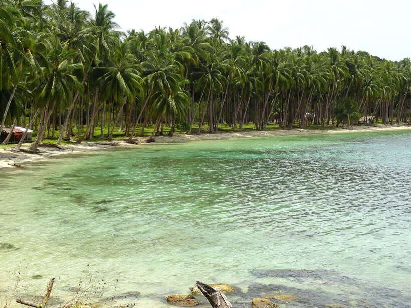 Port Barton: Island Hopping to Turtle Spot & Reef with Lunch - Exotic Island or Maxima Island, depending on the weather